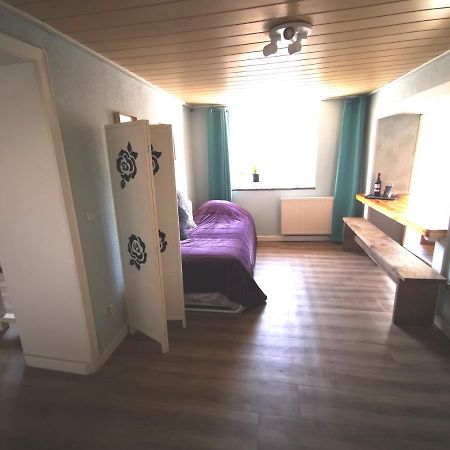 Mooi Ruim Appartement In Antieke Stadsboerderij Schönecken Exterior foto